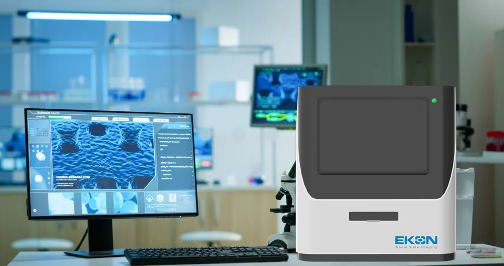 A lab setup featuring a computer monitor displaying microscopic images